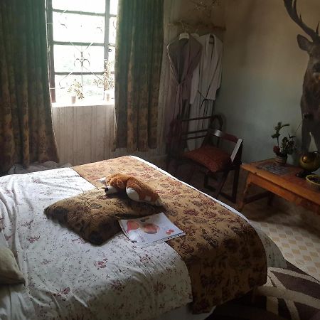 Sasana Motel And Guest House Bungoma 外观 照片